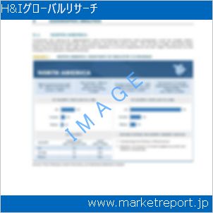 市場と産業調査レポートのイメージ